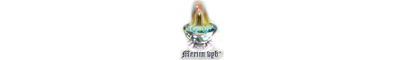 Merlin Merlin