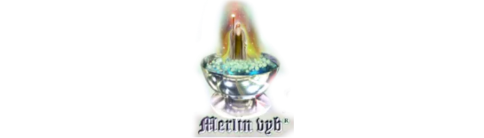 MERLIN (Québec, Canada)