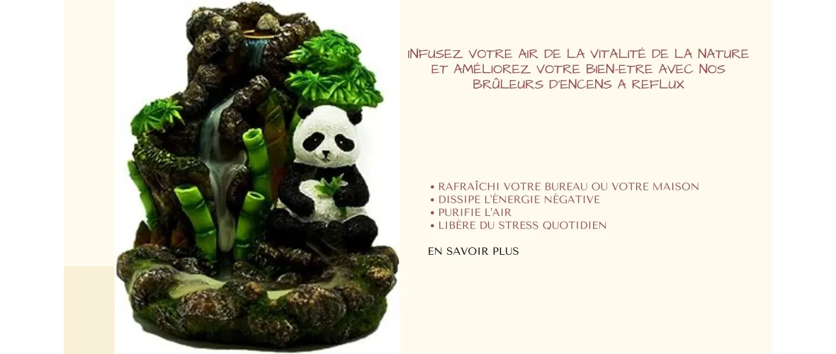 Brûleurs Backflow
