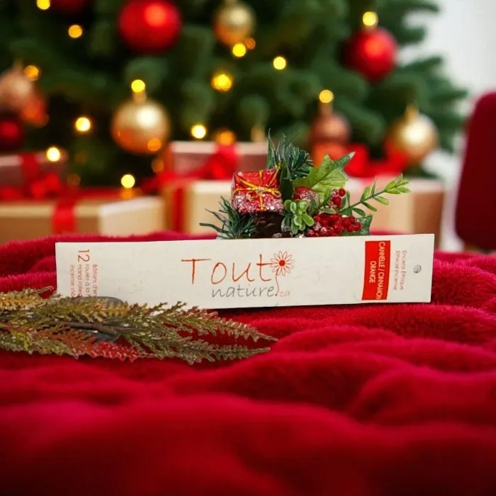 Tout Naturel Cinnamon orange incense