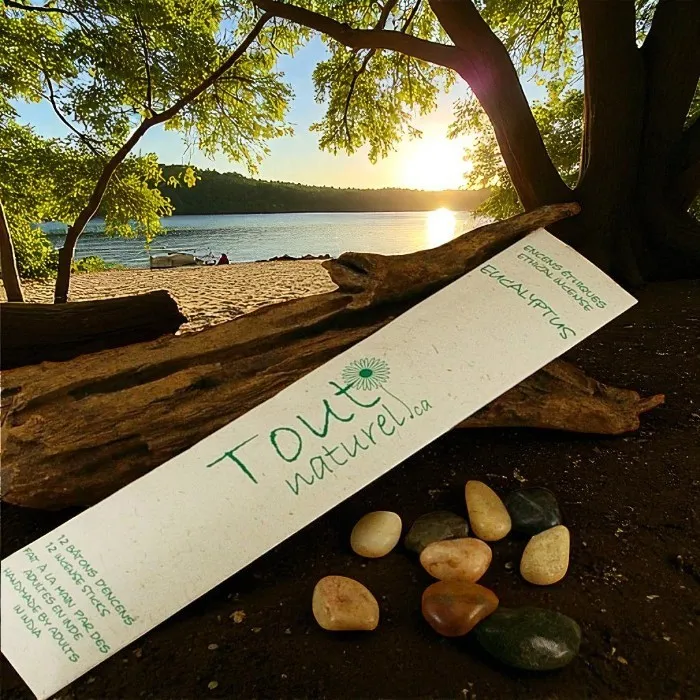 Tout Naturel eucalyptus incense