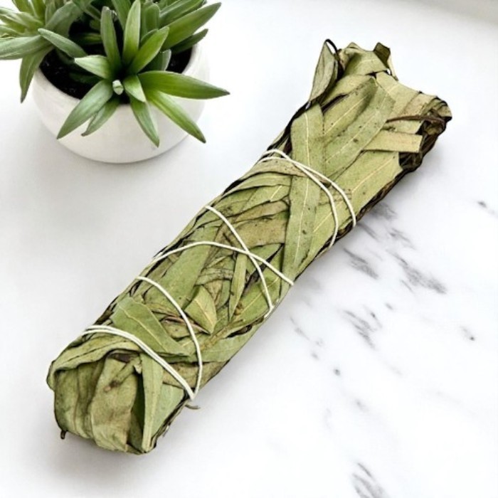 Bâton d' Eucalyptus 5"