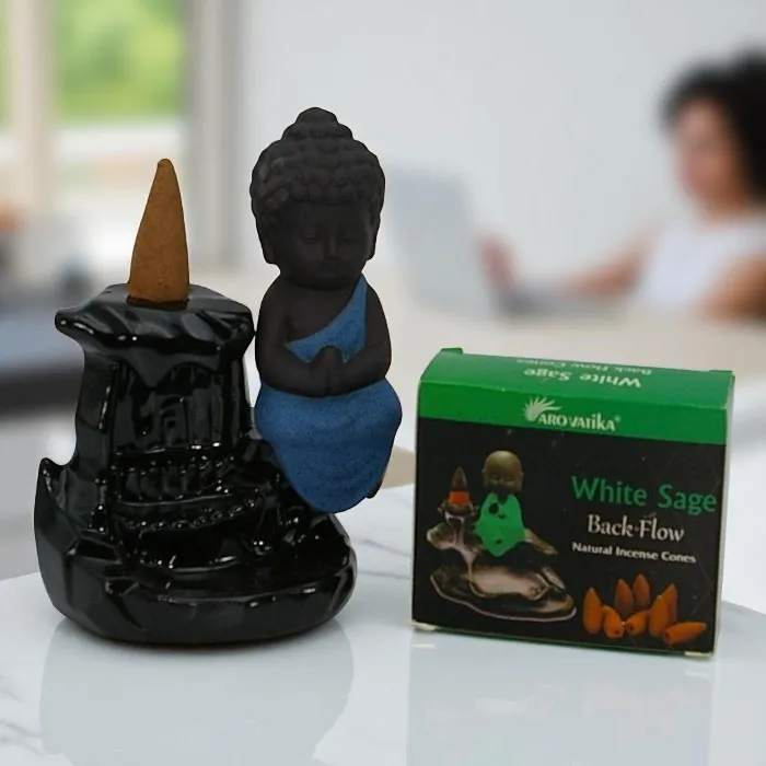 Arovatika backflow incense cones  White Sage