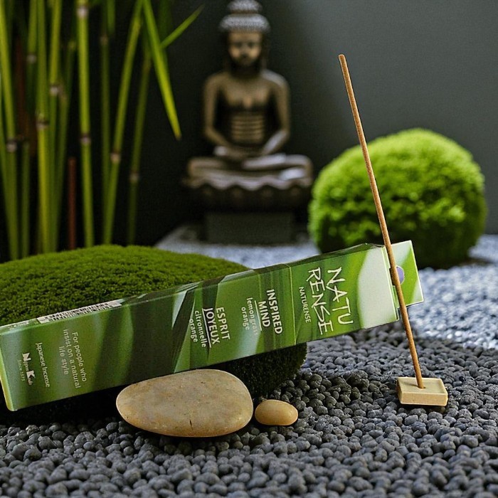 Nippon Kodo Naturense Inspired Mind incense