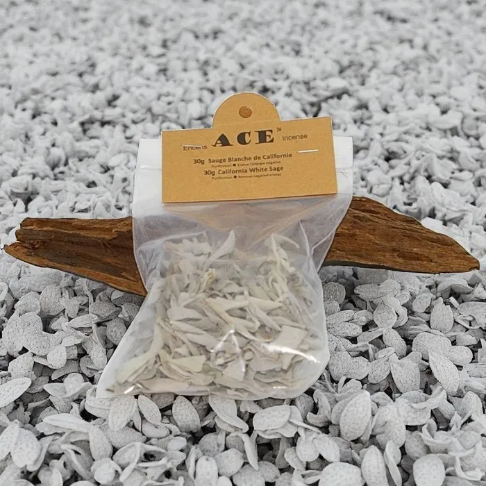 Sauge Blanche Californienne en feuille