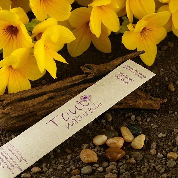 Tout Naturel ylang ylang incense