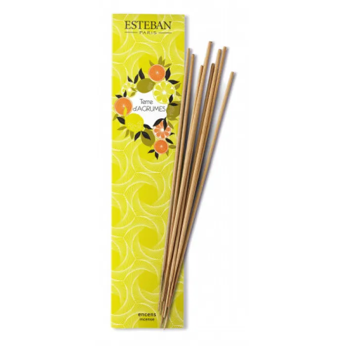 Esteban Terre d'Agrumes incense (Indian style)